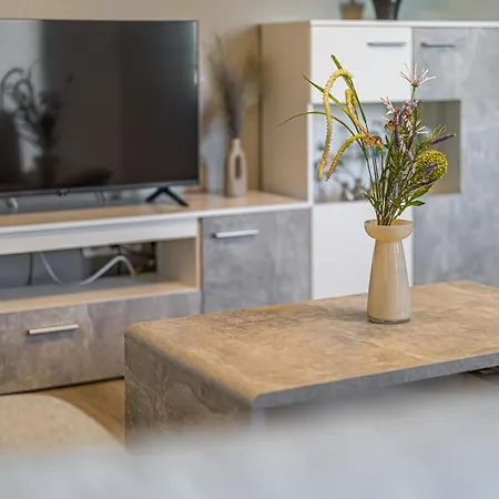 Apartment 101 Zentrales Hbf Halle *